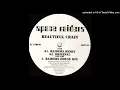 Space Raiders - Beautiful Crazy (Raiders Remix)