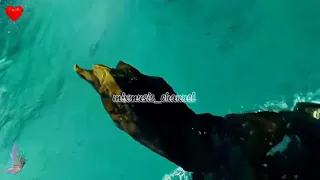 Don T Wait For Tomorrow 80 S Music Mix Music 