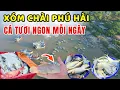 Lagu Xóm thúng Phú Hài buổi sáng: Nơi đón những mẻ cá tươi ngon đầu ngày ❤️