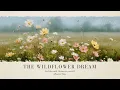 Download Lagu 🌼 The Wildflower Dream | Peaceful Piano Music for Relaxation, Focus, Reading, Study \u0026 Inner Calm