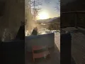 Big Black Bear Relaxes in Hot Tub in Great Smoky Mountains Tennessee