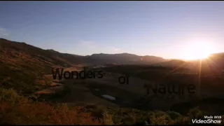 مهرجان الدنيا لفت بيا غناء كابو دندنها