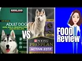 Costco Kirkland s vs Purina Pro Plan Dog food Review