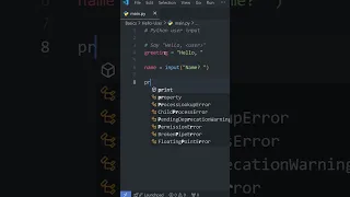 Python Basics USER INPUT in Under a Minute