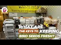 STOP Wasting Bird Seed Smart Storage Solutions You Need