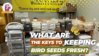 STOP Wasting Bird Seed Smart Storage Solutions You Need