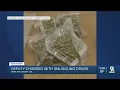 Ex-Hamilton County deputy charged with smuggling drugs into jail