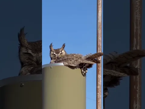 in harmony