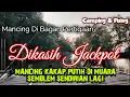 Download Lagu Mancing di muara semblem bagan pertigaan muara gembong