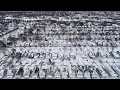 US Military police enforce driving ban in snow-stricken Buffalo