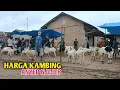 Download Lagu Harga Kambing Hari ini Anyep Njejeb