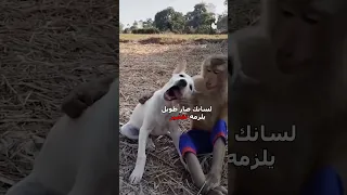 القرد للتربية والتعليم دبلجة مضحكة ضحك اكسبلور السعودية My Kingo كوميديا Funny دوبلاج 