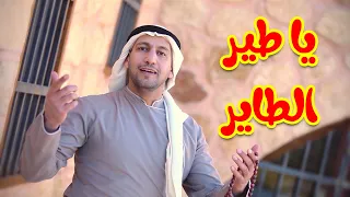 يا طير الطاير مراد شريف طيور الجنة  يا طير الطاير مراد شريف طيور الجنة
