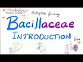 Download Lagu Inleiding tot Bacillaceae (Bacillus anthracis en Bacillus cereus) | Microbiologie 🧫
