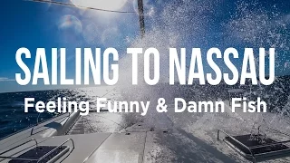 Sailing to Nassau – Feeling Funny & Damn Fish