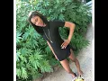 Kima Loso - Trapper Lil Kjay Ryu Blixky Diss