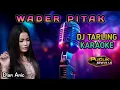 Download Lagu WADER PITAK - Dian Anic // DJ Tarling Karaoke
