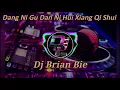 Dang Ni Gu Dan Ni Hui Xiang Qi Shui 当你孤单你会想起谁 Remix By Dj Brian Bie