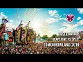 Grapevine vs Split (Tiesto Tomorrowland 2019 Mashup)