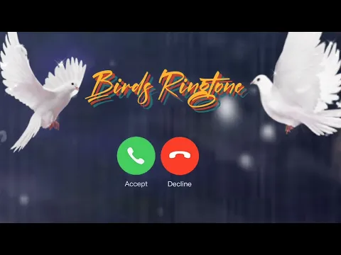Download MP3 Cute Birds Ringtone 2022 | New Ringtone 2021/ 2022 | Love Ringtone | Instrumental | Flute Ringtone