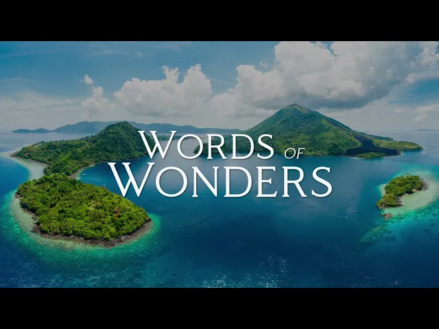 Words of Wonders для Андроид – Видеообзор