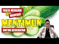 Download Lagu FAKTA MENARIK DAN MANFAAT MENTIMUN UNTUK KESEHATAN