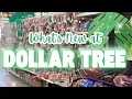 All NEW Dollar Tree Don t Miss Out