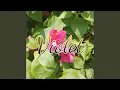 Download Lagu Malu Malu Mau