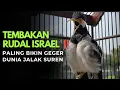 Download Lagu SANGAR !! JALAK SUREN GACOR ISIAN KASAR !!!