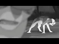 Sister - Ivypool and Dovewing Animatic