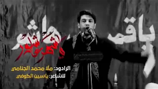 مؤلمة يا شهر عاشور كلمات ياسين الكوفي محمد الجنامي 