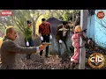 Download Lagu खंभे से बंधी मिली एक 50 साल की महिला, CID का सबसे दर्दनाक केस || CID || New Episode