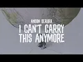 Download Lagu Anson Seabra - I Can't Carry This Anymore
