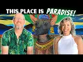 THIS EXPAT HOTSPOT was NOT what we EXPECTED Ajijic Mexico