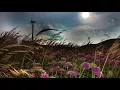 Download Lagu Cold wind sound effect
