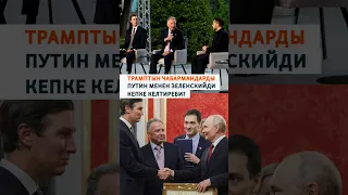 Трамптын чабармандарды Путин менен Зеленскийди кепке келтиреби?