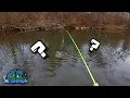 What Will a Few Warm January Days Mean for Creek Fishing