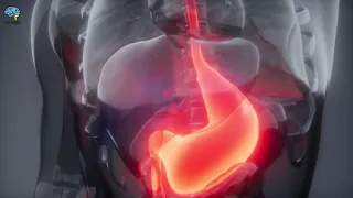 ما هي أعراض زيادة الدم في الجسم 