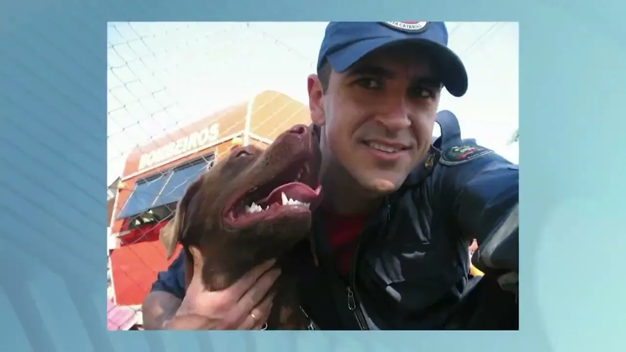 Giro de Notícias: cão de busca Mel, do Corpo de Bombeiros, morre aos 13 anos em Araranguá