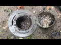 Inspecting Termite Bait Stations and When to Replace Bait on an Active Infestation