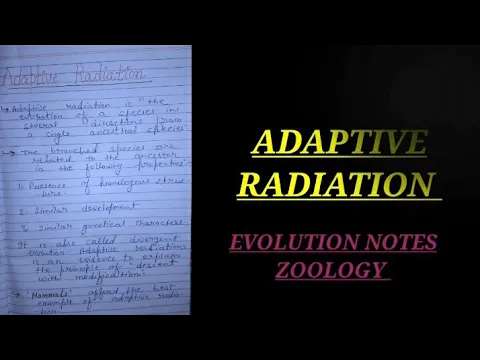 Download MP3 ADAPTIVE RADIATION IN HINDI #adaptiverationinevolution #evolution #zoology #zoologychannel #bsc #msc