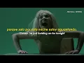 Download Lagu Sia - Chandelier (Sub Español + Lyrics)