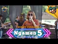Ngamen 5 - Windy Fernanda ft Pemuda Plembang Rejo Bersatu ( Official Live Music )