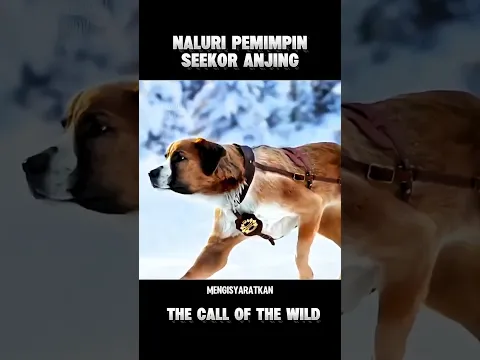 Anjing Ini Jadi Pemimpin Sejati ‼️#alurceritafilm #shorts