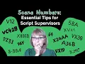 Scene Numbers Essential tips for Script Supervisor