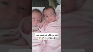 على الصفر                               دندنها