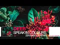 deeB - Speak in Colours (Zen Baboon Remix)