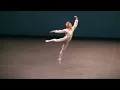 David Hallberg   Tchaikovsky pas de deux.  Male variation
