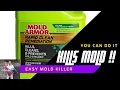 Easy Mold Armor Rapid Clean Remediation How To
