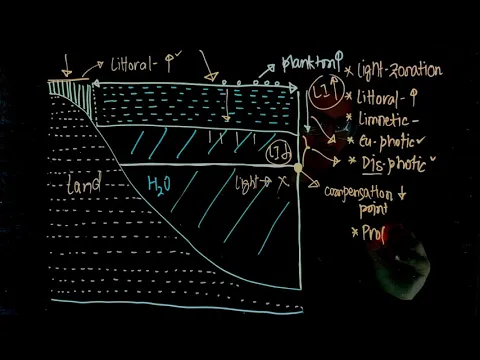 Download MP3 Light Zonation in Lake: Ecology Extra Edge for NEET- Limnetic, Littoral, Profundal, Benthic Zones